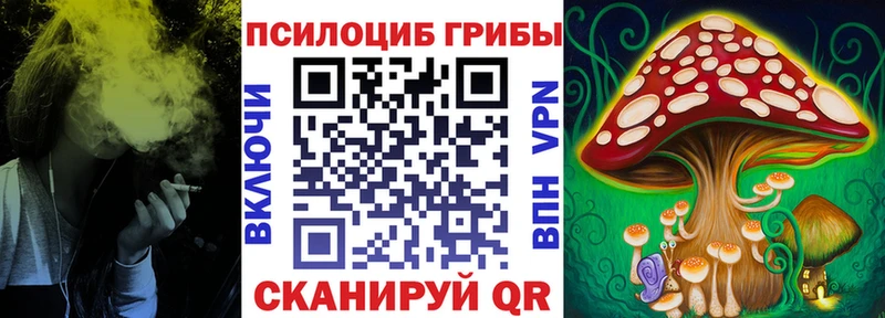 мориарти Telegram  Александровск-Сахалинский  Галлюциногенные грибы GOLDEN TEACHER  наркота 